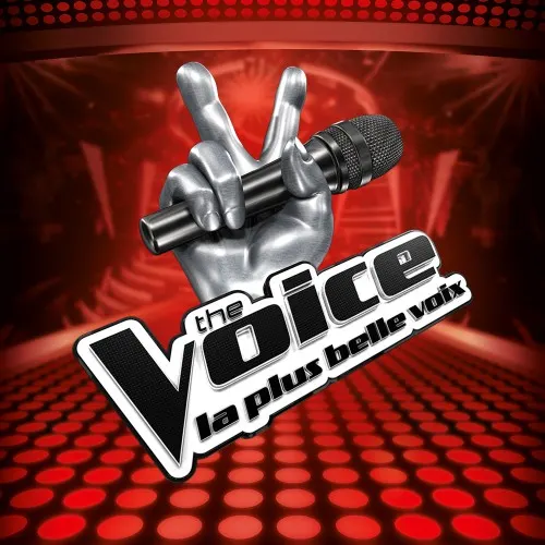 Illustration de The Voice - La plus belle voix