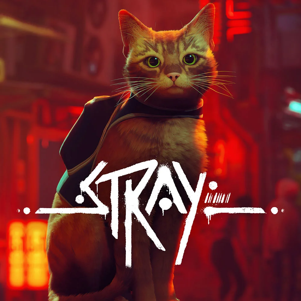 Stray – Nintendo Switch 2 Edition
